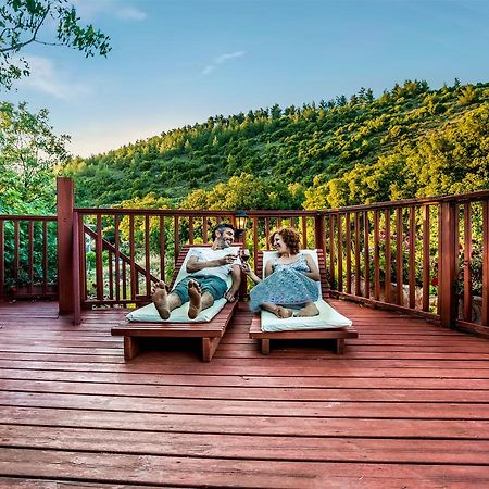 Spa In The Woods - B&B In Amirim Exterior photo